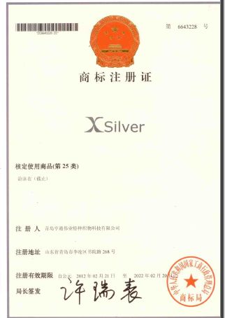 Xsilver