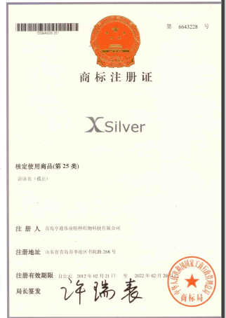 Xsilver