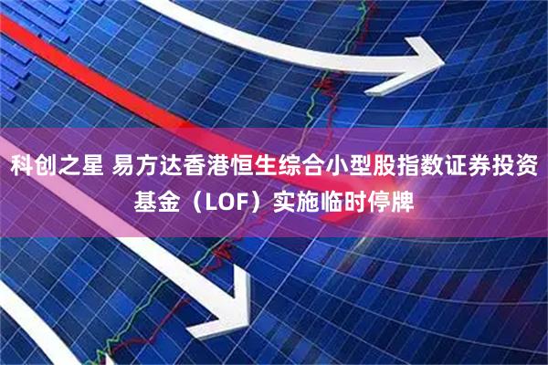 科创之星 易方达香港恒生综合小型股指数证券投资基金（LOF）实施临时停牌