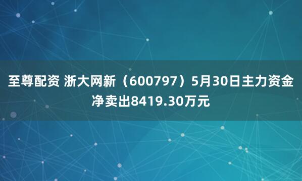 至尊配资 浙大网新（600797）5月30日主力资金净卖出8419.30万元