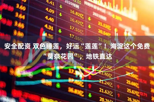 安全配资 双色睡莲，好运“莲莲”！海淀这个免费“莫奈花园”，地铁直达